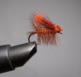 ���� X Caddis  Orange  Kumho � 12 